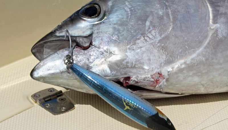 Aas Winkel -Aas Winkel 36