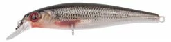 Spro Ikiru Silent Jerk Roach 6.5Cm Sls