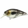 Spro Ikiru Tri Crank Pompano 6.5Cm F